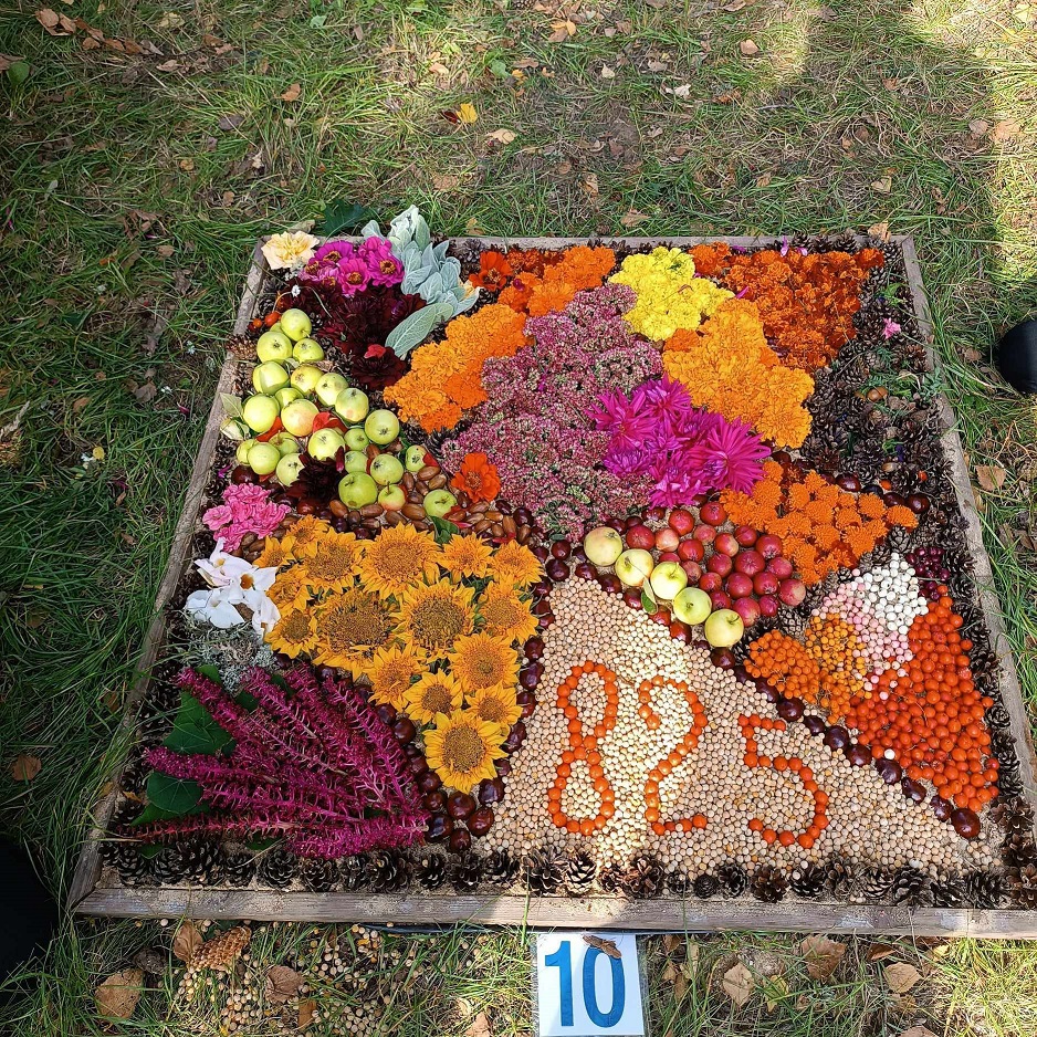379660745_869234281475140_1863010235391620233_n