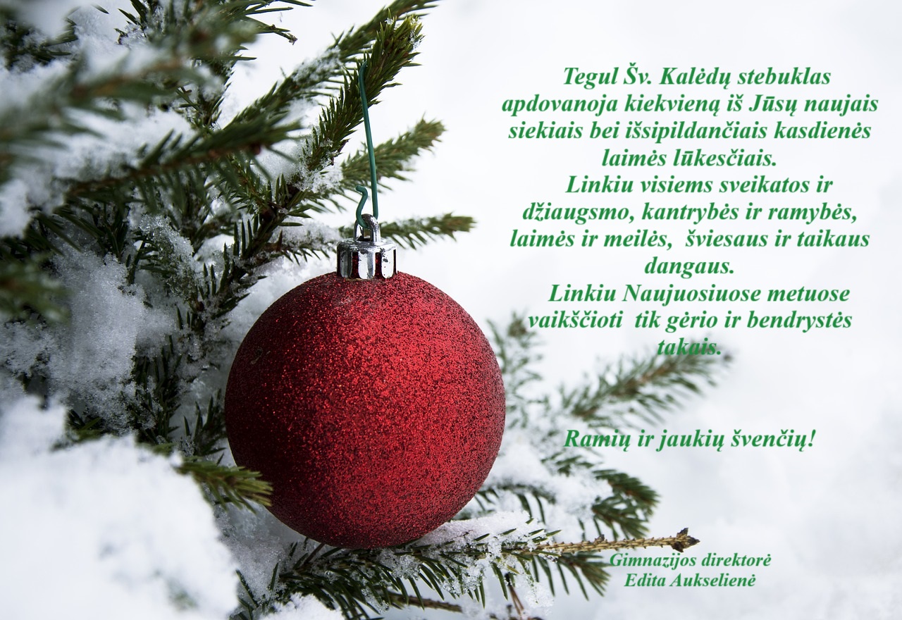 Sveikinimas 2024